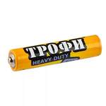 Элемент питания АА Трофи R6