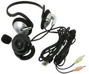 Веб-камера Chicony DC-9117 (1,3 Мп, Микрофон, USB) + Наушники с микрофоном